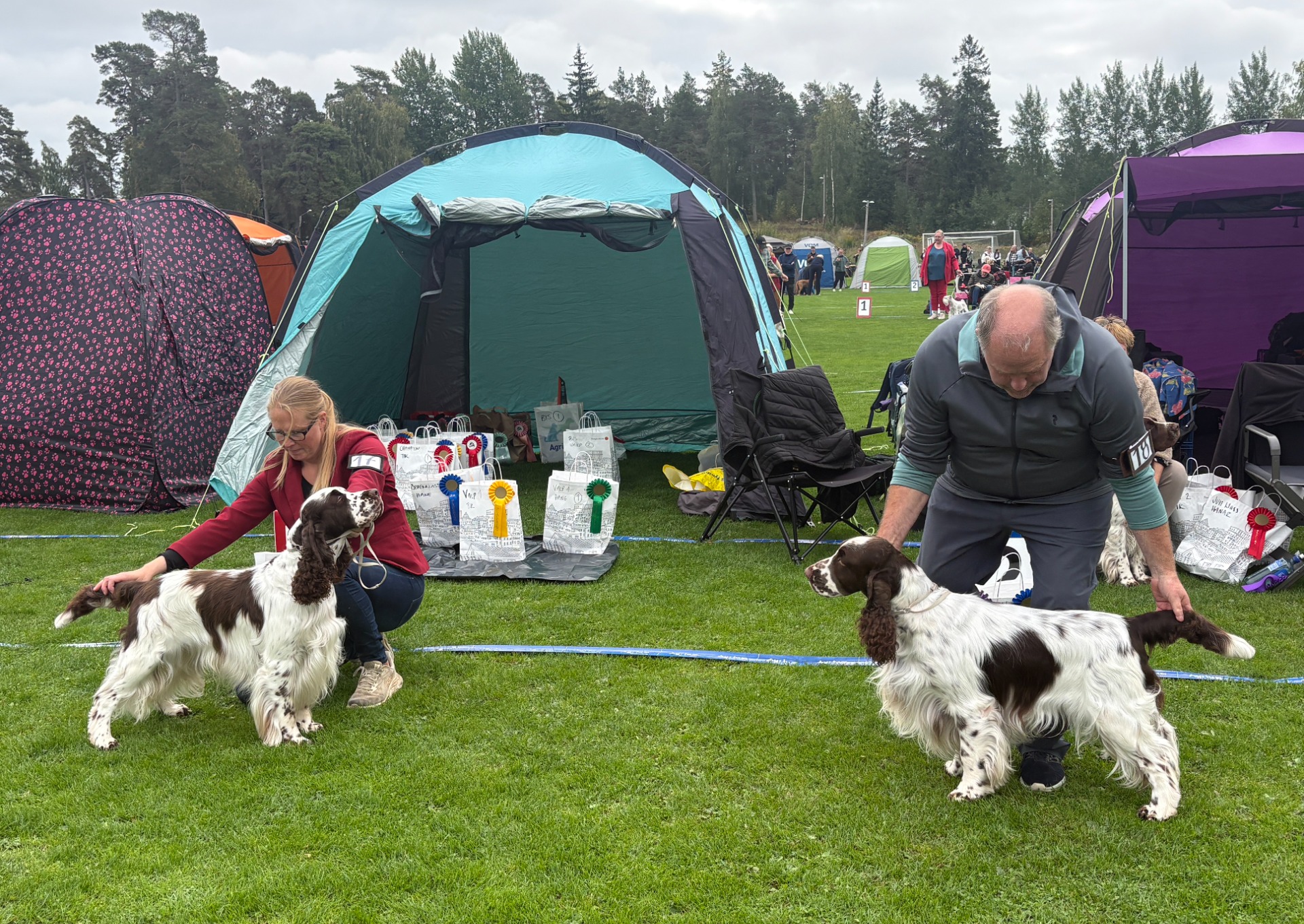 Championklass hanar